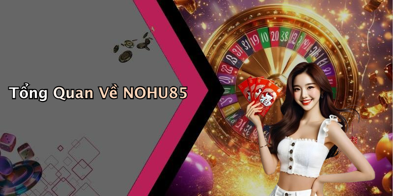 Tổng Quan Về NOHU85